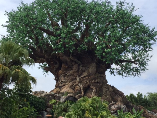 Tree Of Life 6 - AK 09-09-2017