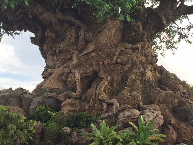 Tree Of Life 7 - AK 09-05-2017