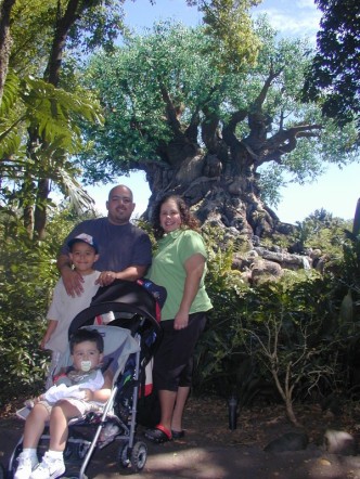 Tree of Life @ Animal Kingdom