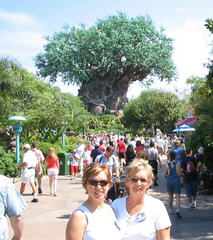 Tree of Life - Animal Kingdom