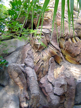 Tree of Life Carving