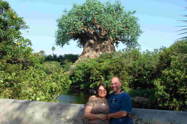 tree of life true love