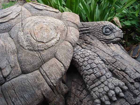 Tree of Life Turtle