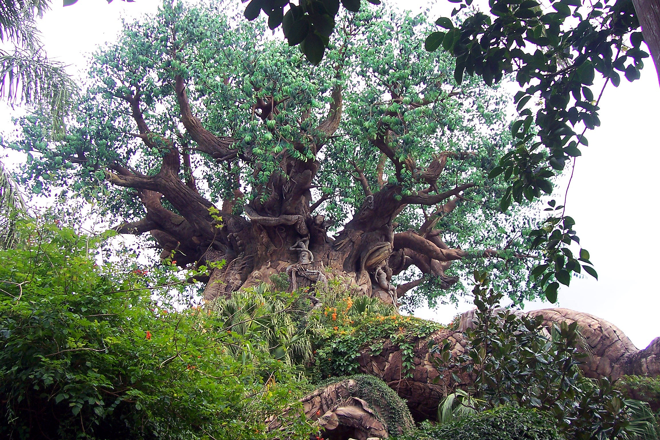 Tree of Life - upshot.
