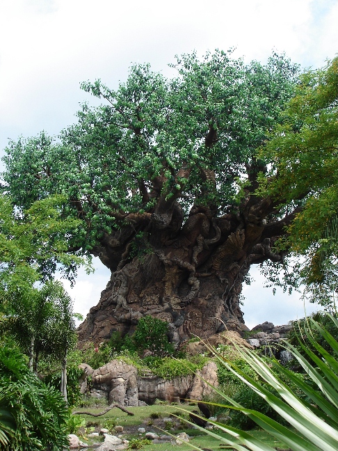 Tree of Life