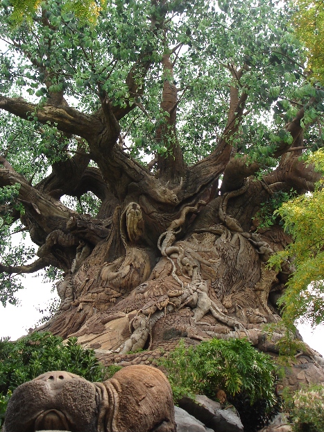 Tree of Life