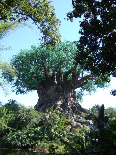 Tree of Life