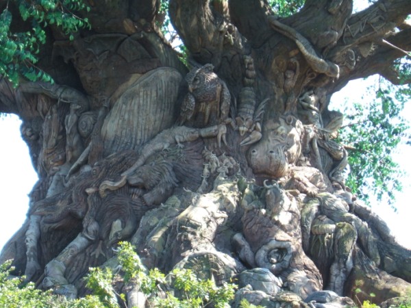 Tree of Life