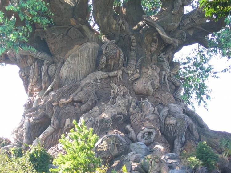 Tree Of Life