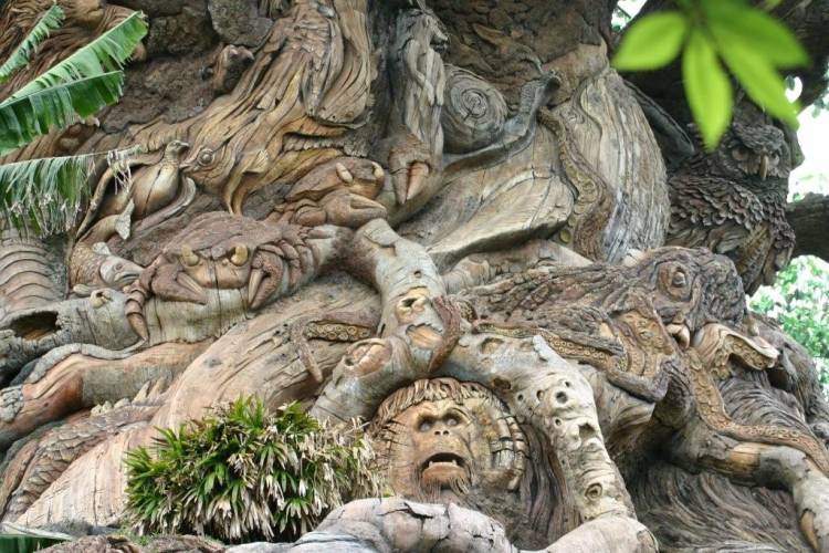 TREE OF LIFE