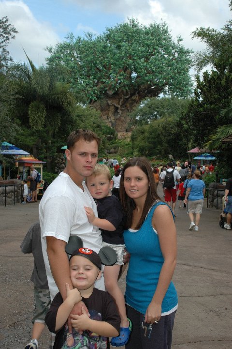 Tree of Life