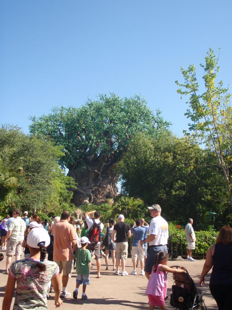 Tree of Life