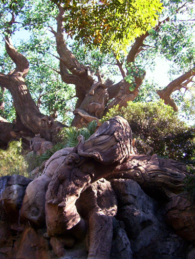 Tree of Life