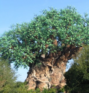 Tree of Life