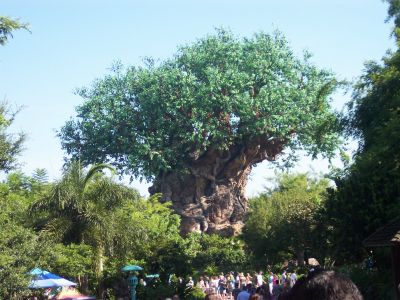 Tree of Life