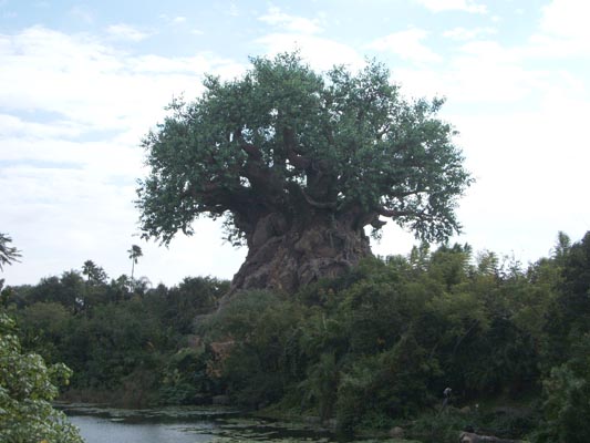 Tree Of Life