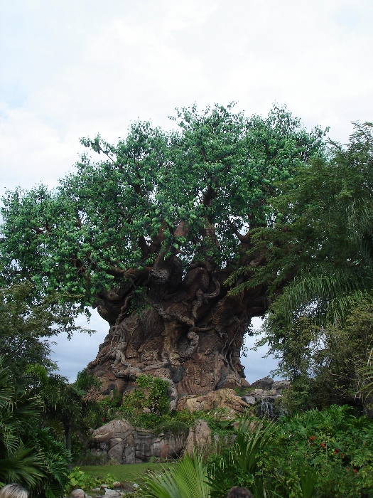 Tree of Life