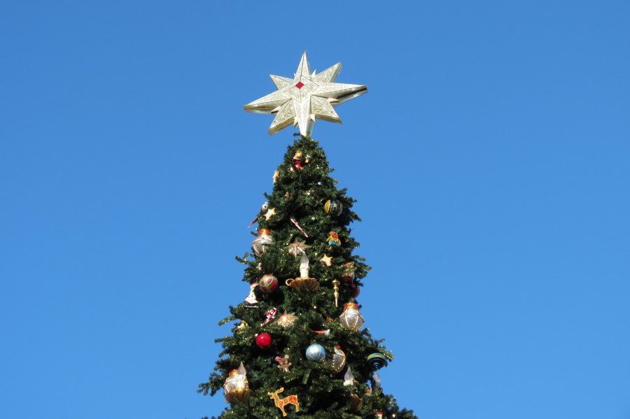 tree top star