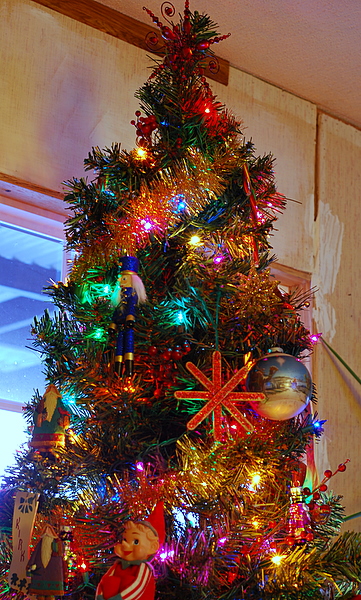 Tree with lights