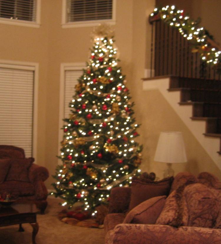 tree07_001