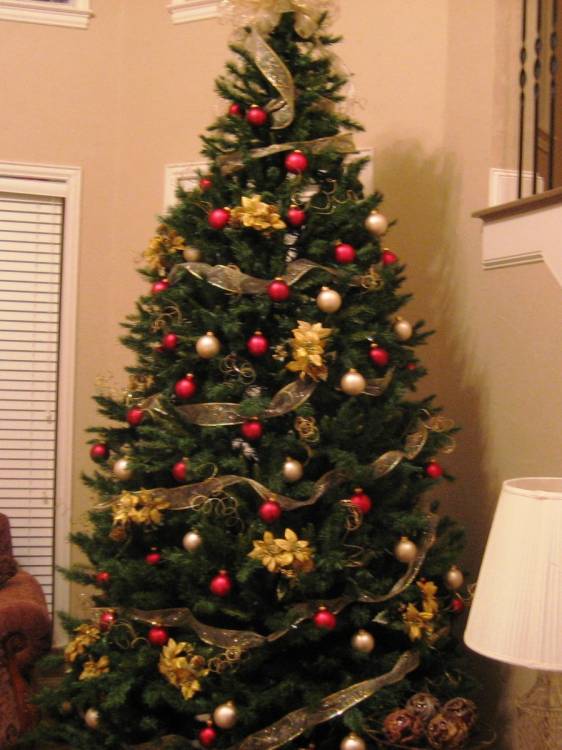 tree07_002