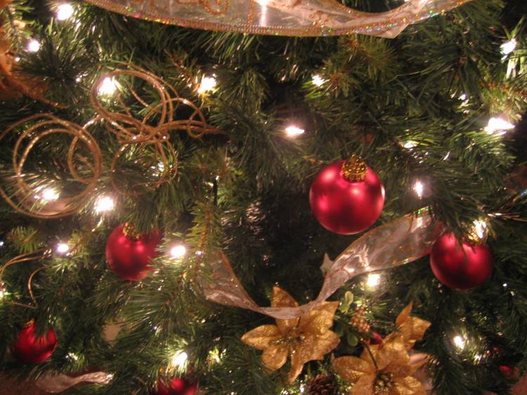 tree07_009
