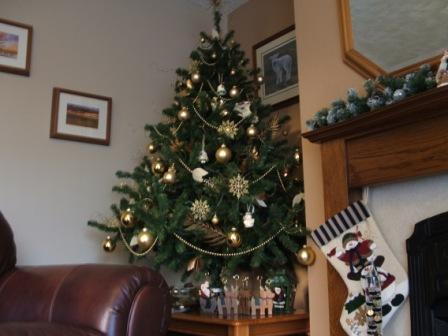 tree_2_003