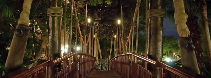 Tree_House_bridge