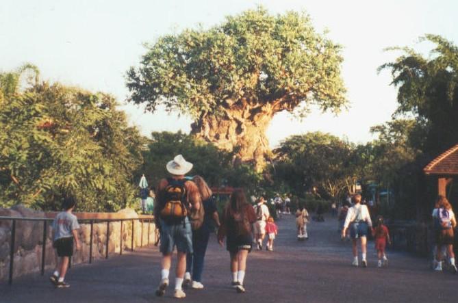 Tree_of_Life