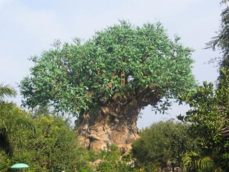 Tree_of_Life