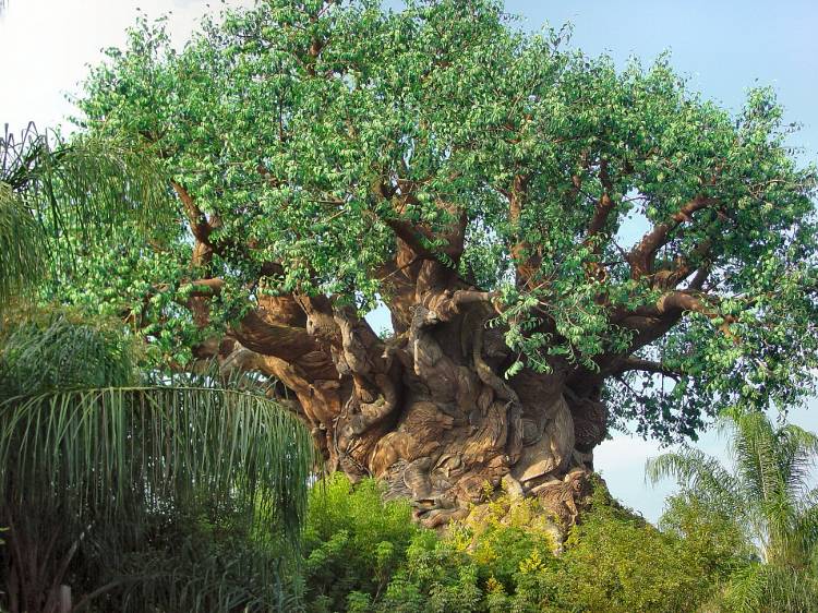 TreeofLife-13