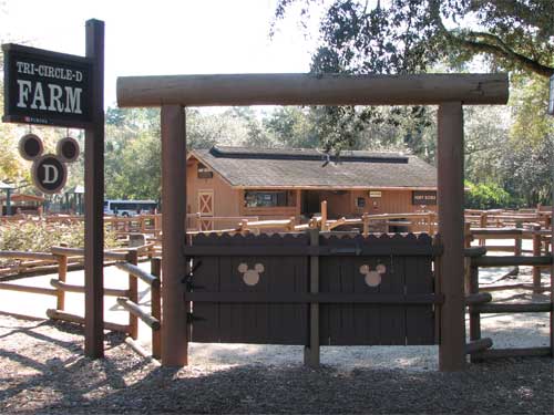 Tri-Circle D Ranch