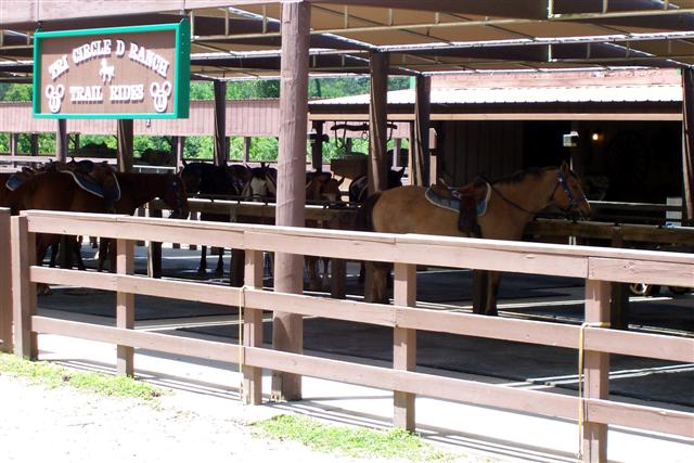 Tri-Circle D Ranch.
