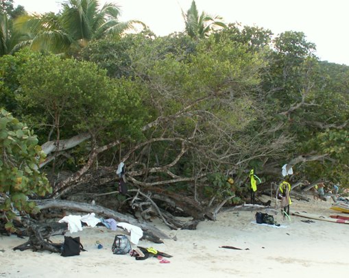 Trunk Bay - St. Johns - Beach
