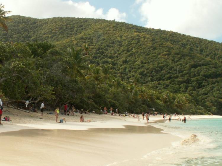 Trunk Bay - St. Johns - Beach