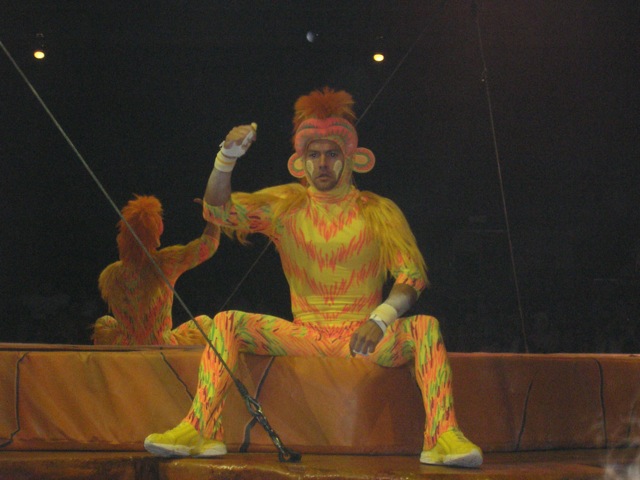 Tumble Monkeys