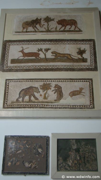 Tunis_Bardo_Museum_022