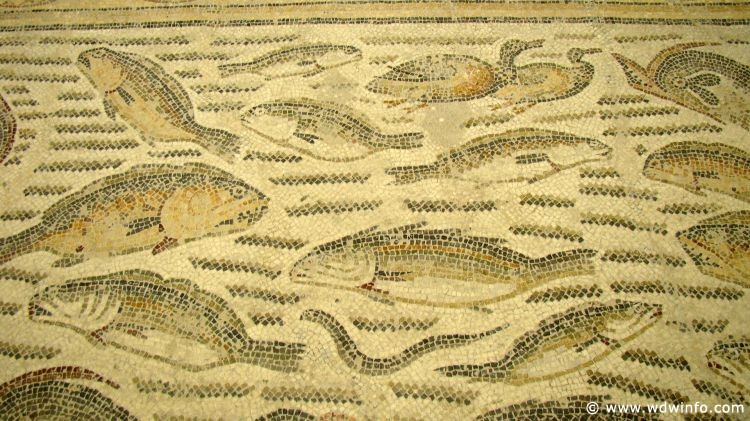 Tunis_Bardo_Museum_038