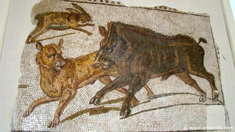 Tunis_Bardo_Museum_040