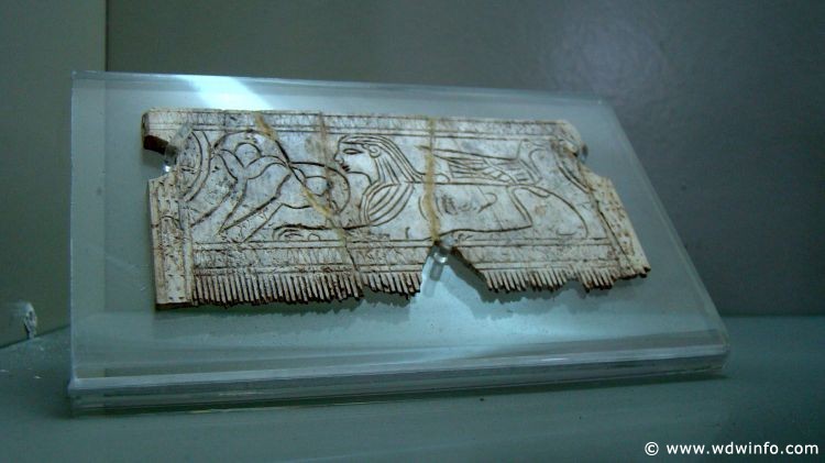 Tunis_Bardo_Museum_142