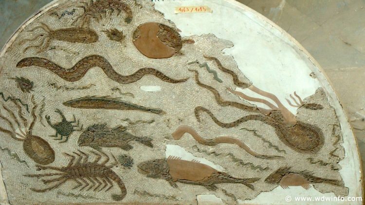 Tunis_Bardo_Museum_189