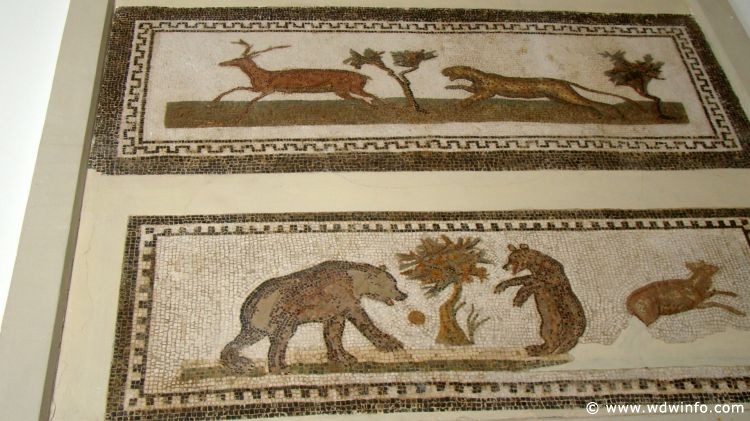 Tunis_Bardo_Museum_194