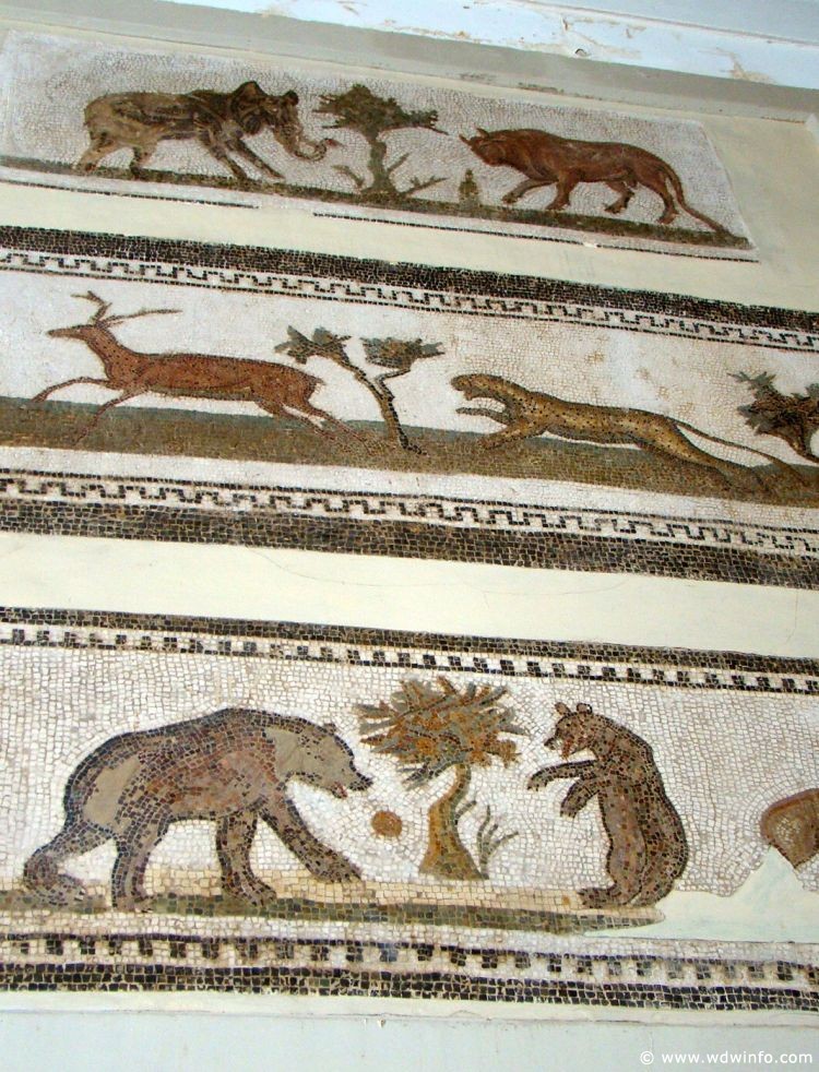 Tunis_Bardo_Museum_195