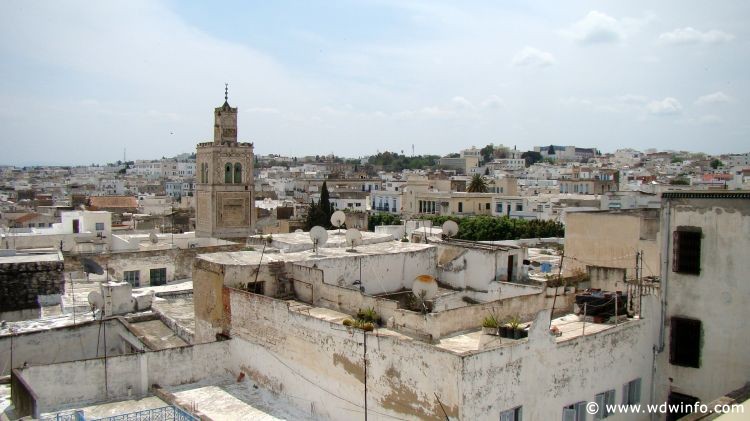 Tunis_Bardo_Museum_253