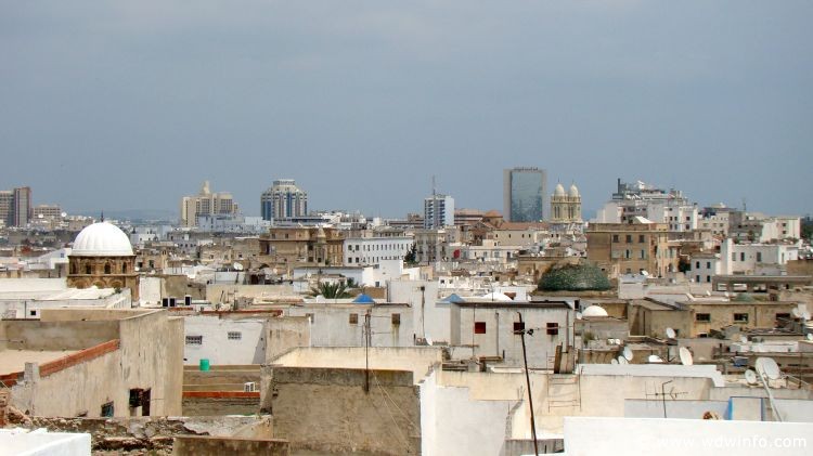 Tunis_Bardo_Museum_256