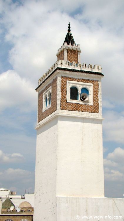 Tunis_Bardo_Museum_260