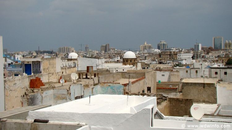 Tunis_Bardo_Museum_261