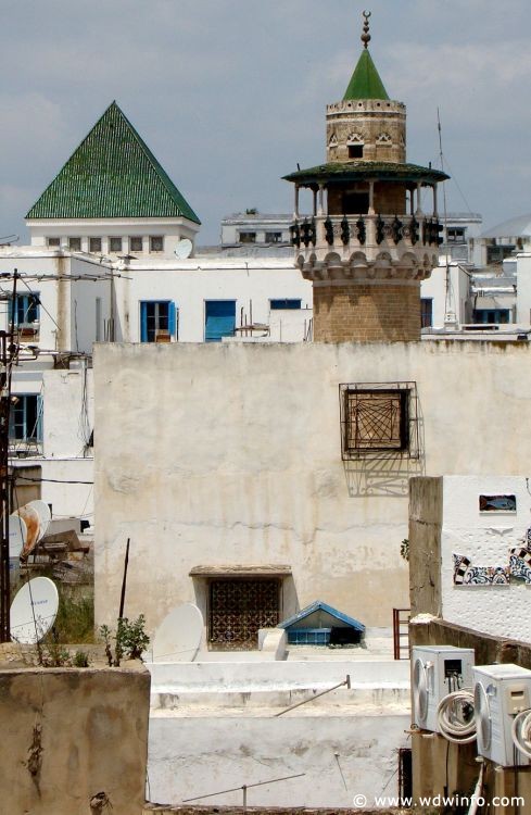 Tunis_Bardo_Museum_263
