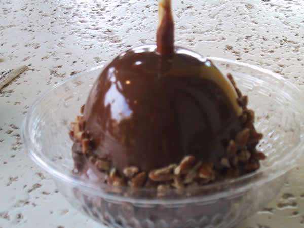 Turtle apple from Goofy's Candy Shop