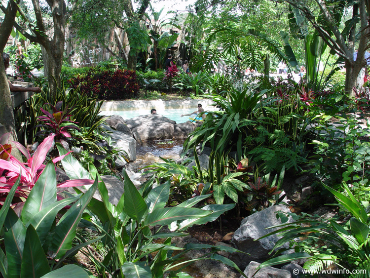 Typhoon-Lagoon-18